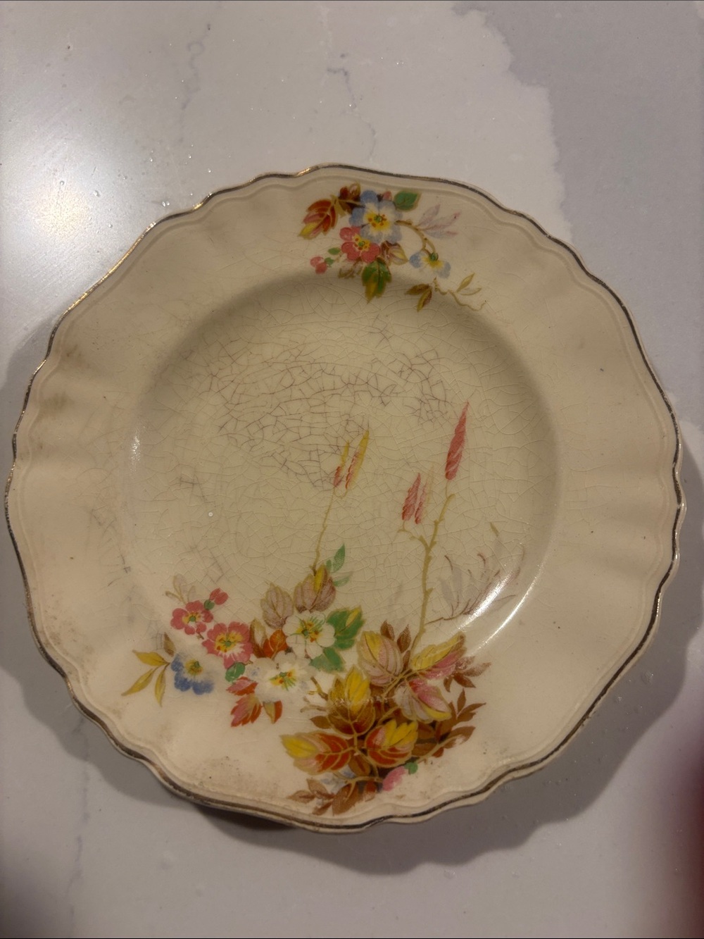 Cream Floral Ceramic Dinner Plate with Gold Scalloped Edge